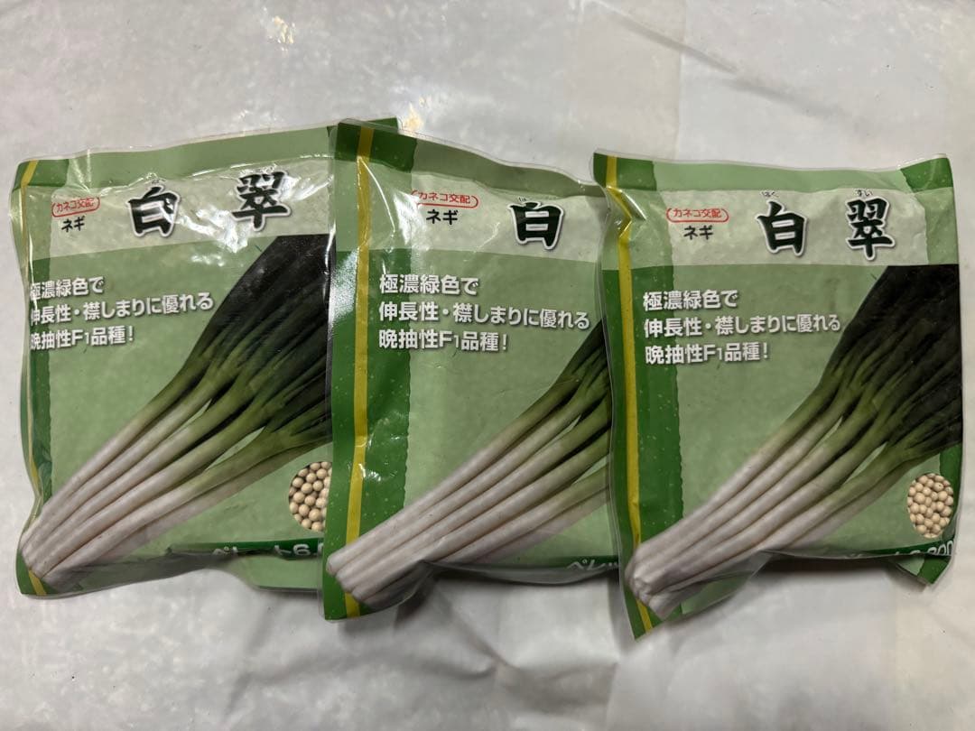 ネギ種子　白翠　6000粒　有効期限26年4月