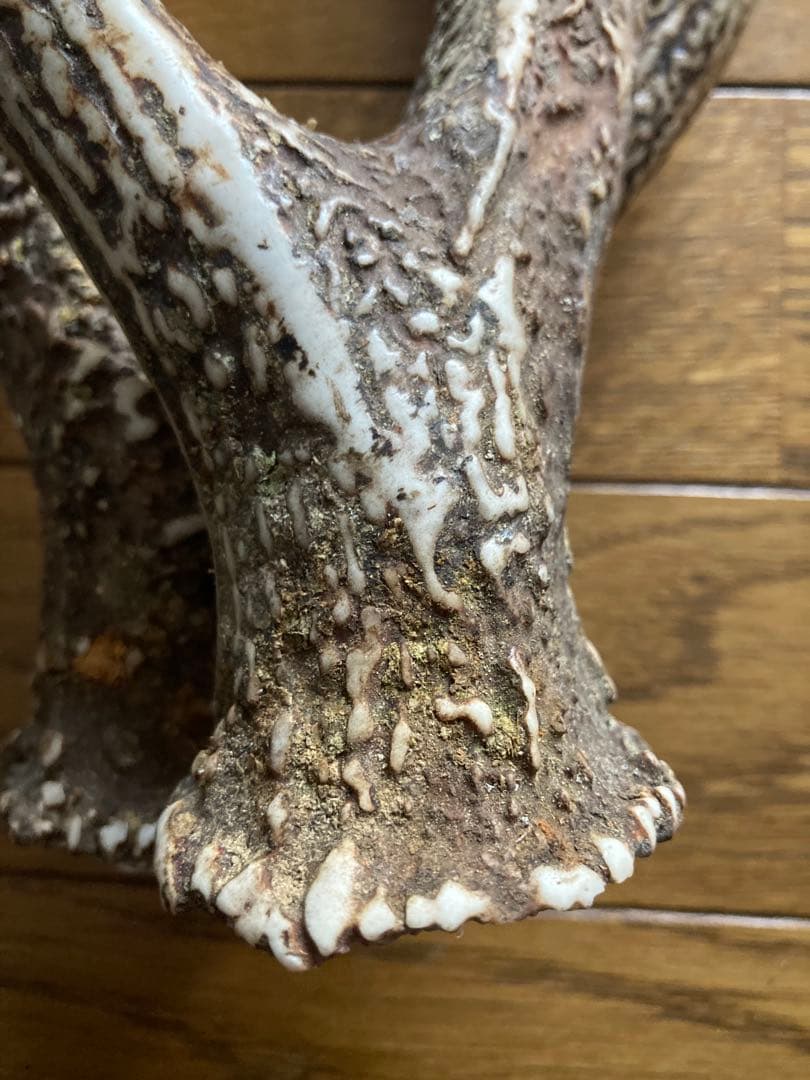 鹿の角　ハンドメイド素材　鹿のインテリア　鹿角特大サイズ　薬剤不使用