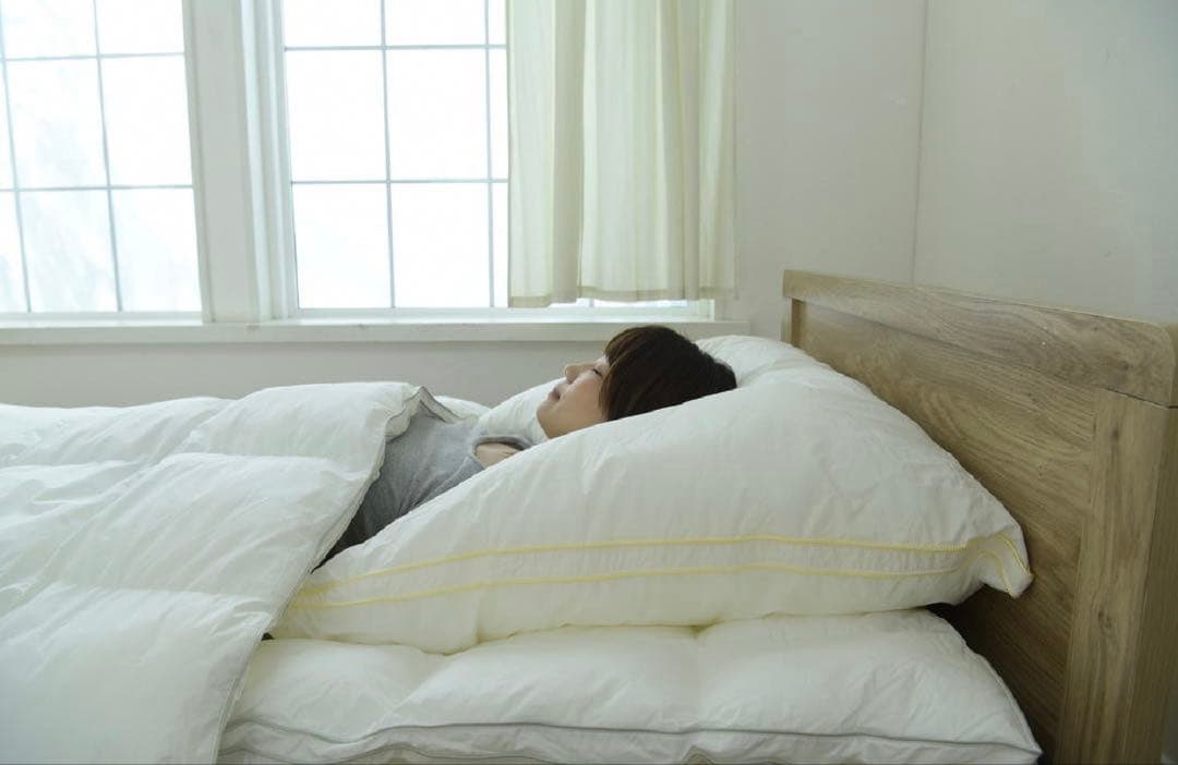 枕 Danfill Fibelle Cushion Pillow 80x80 cm