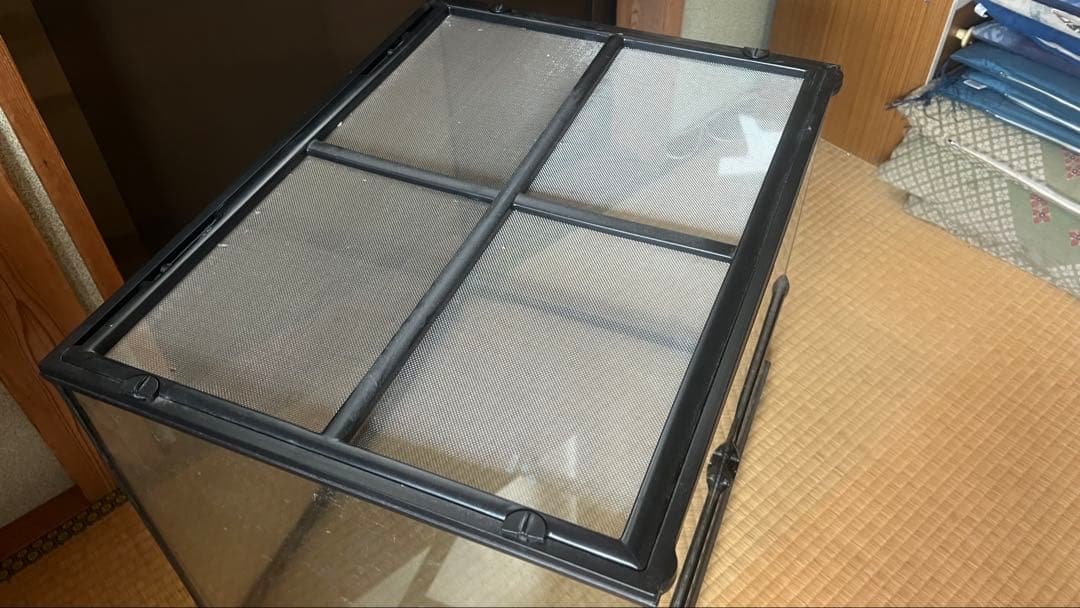 ガラス製 爬虫類 両生類 飼育ケージ エキゾテラ グラステラリウム 6045