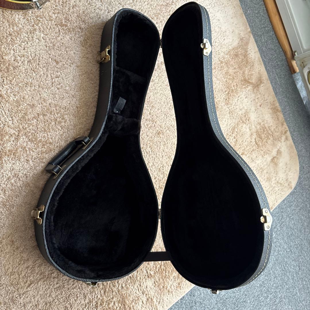 【Fender】 エレクトリック フラットマンドリン