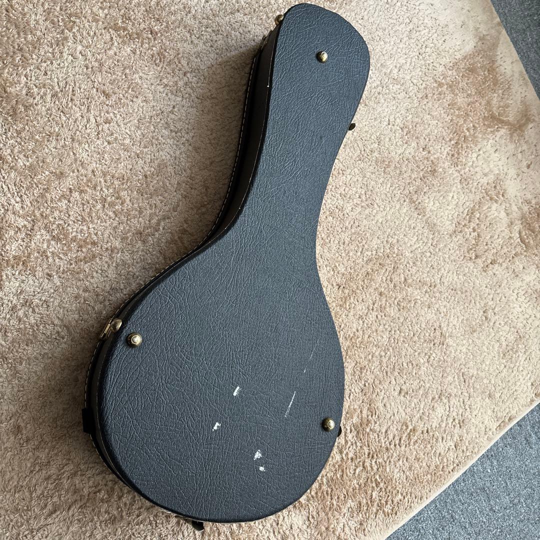 【Fender】 エレクトリック フラットマンドリン