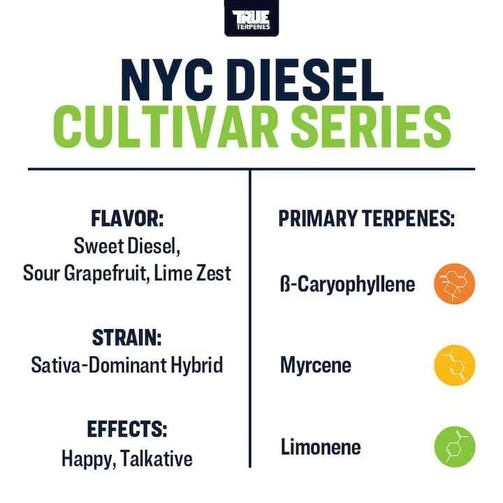 TRUE テルペン 香料 CBD CBN 10ml ニューヨークディーゼル