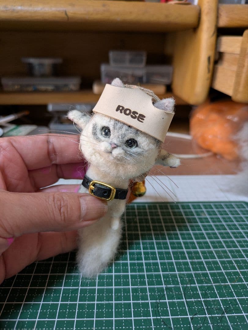 こもちゃんです 豆猫アーティストPECO-LIN