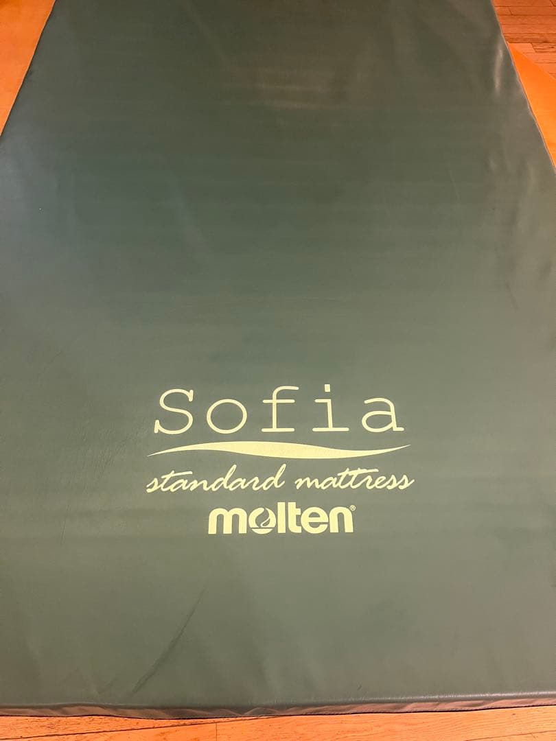 介護用ベッド・寝具 molten Sofia standard mattress 91 cm