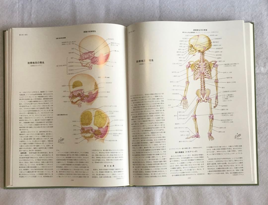 医学図譜集/筋骨格編 Ⅰ・Ⅱ・Ⅲ ３巻セット/箱★書込無し