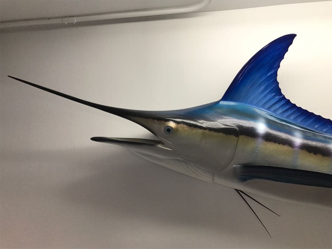 値下げ(^^)特大カジキ ストライプマーリン剥製 魚拓グラスファイバー