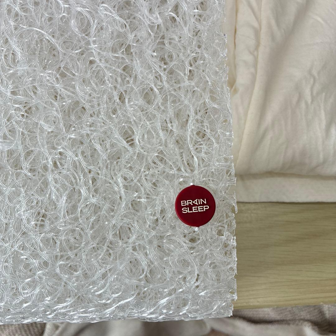 【送料無料】ブレインスリープピロー　スタンダード　STANDARD 枕カバー付き