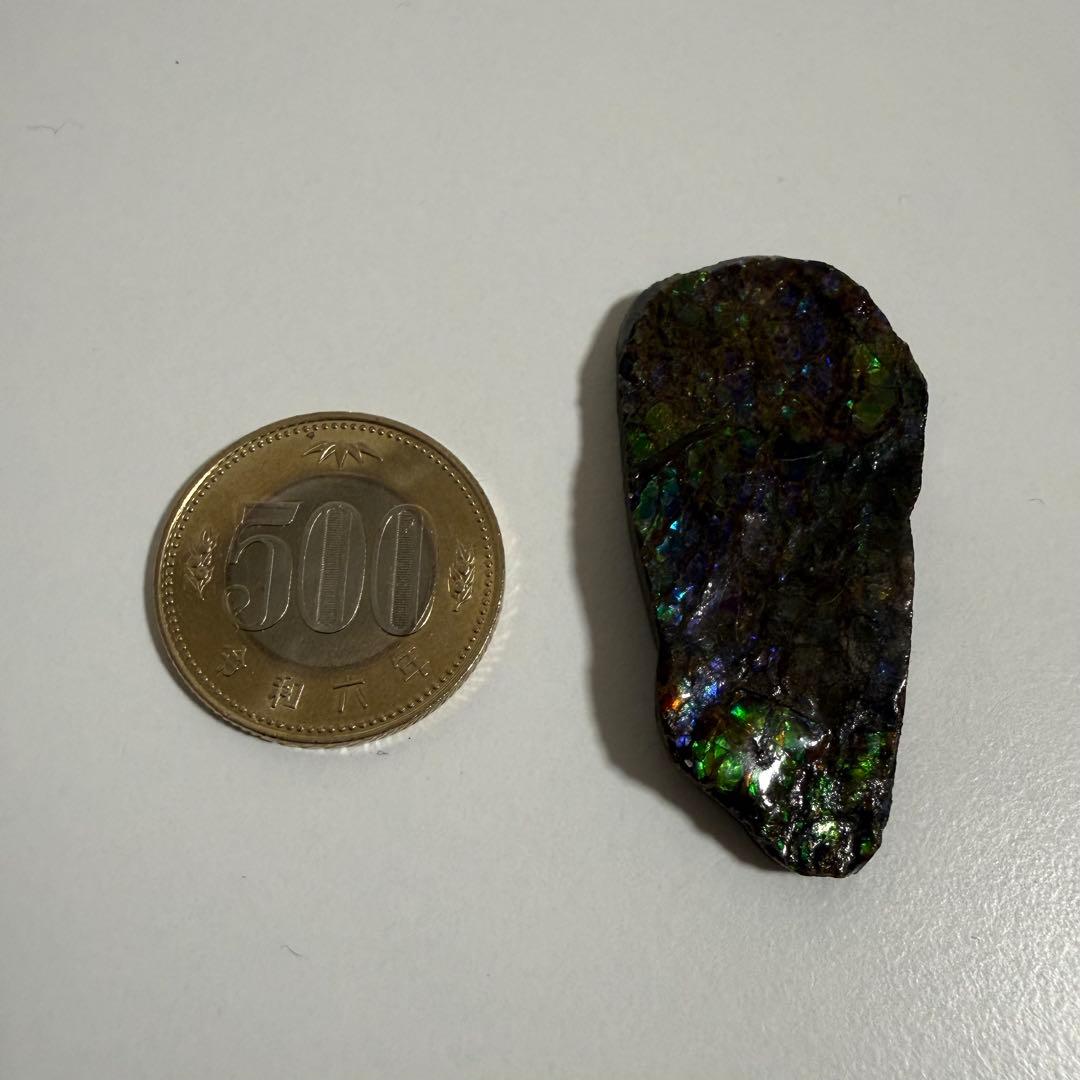 【美遊色】アンモライト 原石 15g アンモナイト化石 標本 コレクション