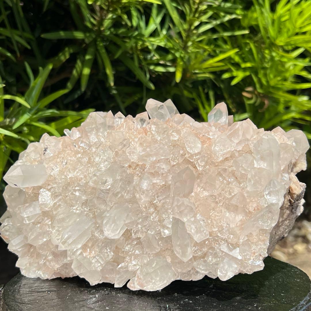 ✳️限定特価‼️超極レア 極上別格品✨超美煌☆ピンク水晶✨ピンクマニカラン水晶