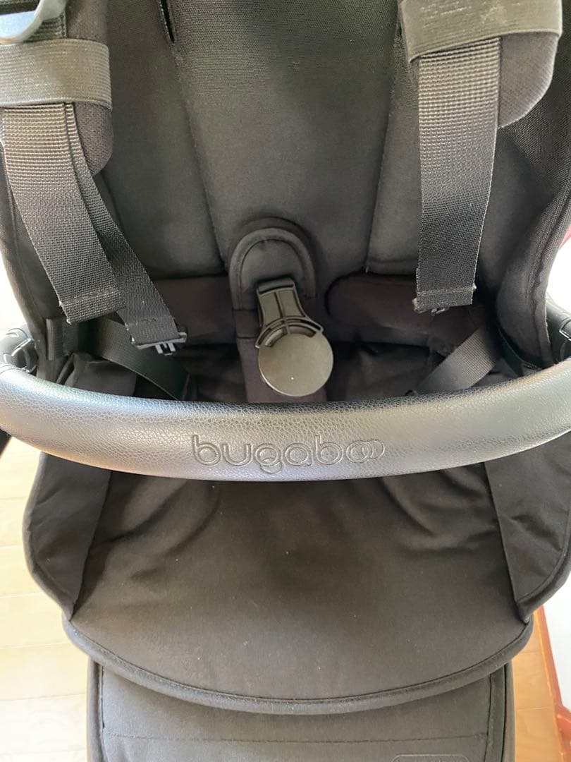 バガブードラゴンフライ