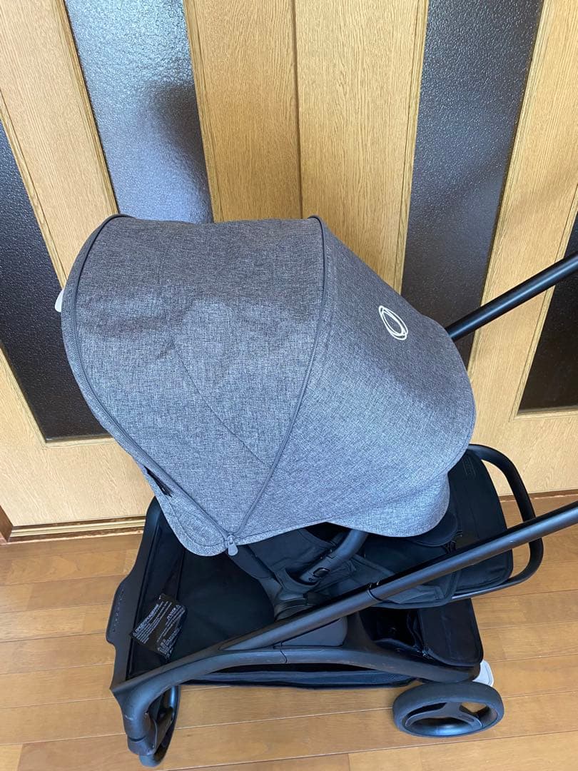 バガブードラゴンフライ