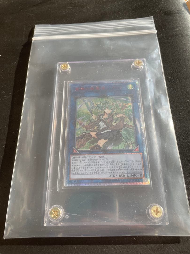 蒼翠の風霊使い　ウェン　20thシク