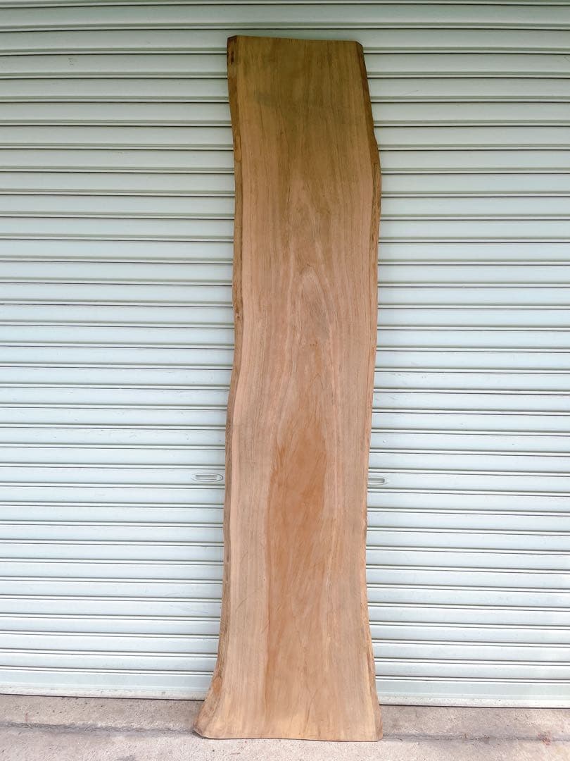 天然　楠木　木材　天板　無垢材　一枚板　テレビ台　ベンチ　カウンターテーブル