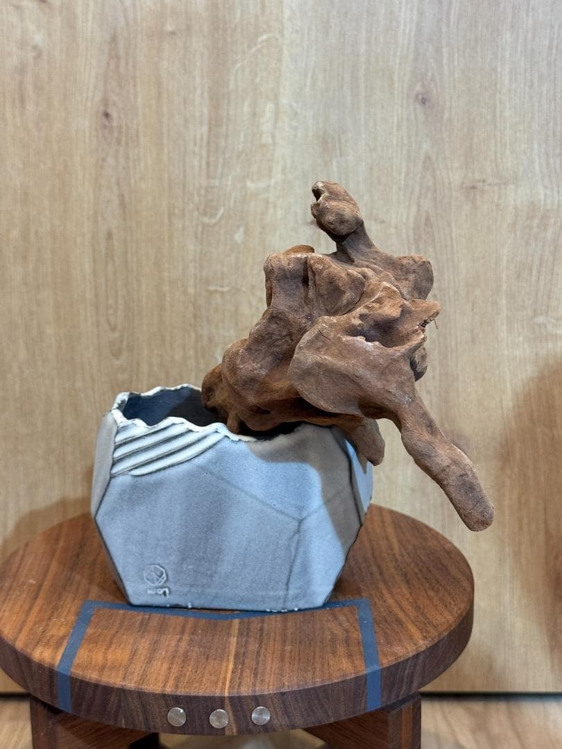 N/OH　コロ鉢　ホワイト　XSサイズ