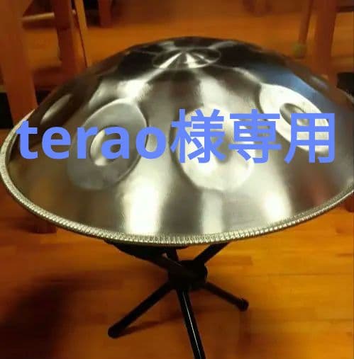 ハンドパン MASH handpan D マイナー 9音 terao