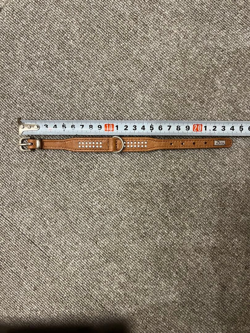 Hunter キラキラスワロフスキー付き　首輪　リード　ハーネスセット