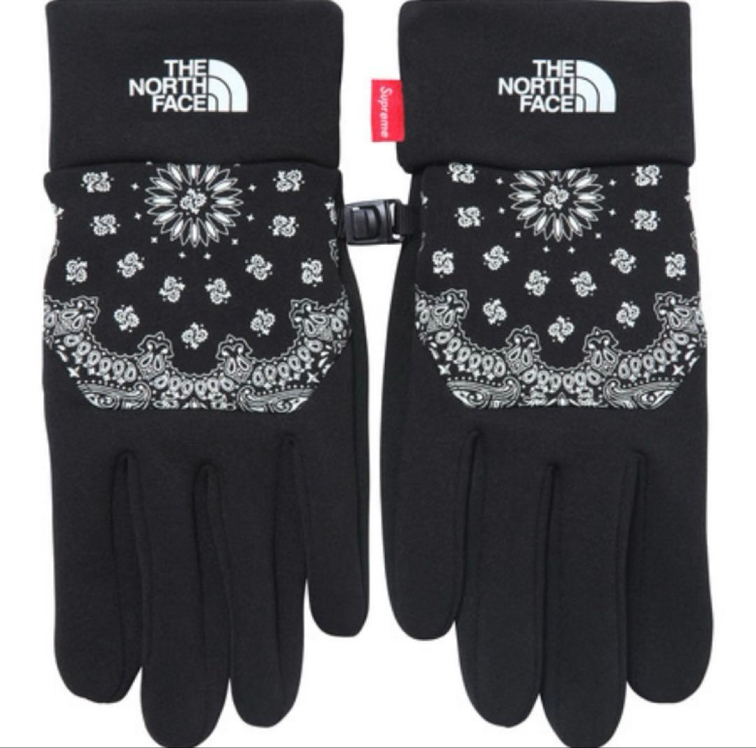 な*し様 Supreme × NORTH FACE Bandana Etip G