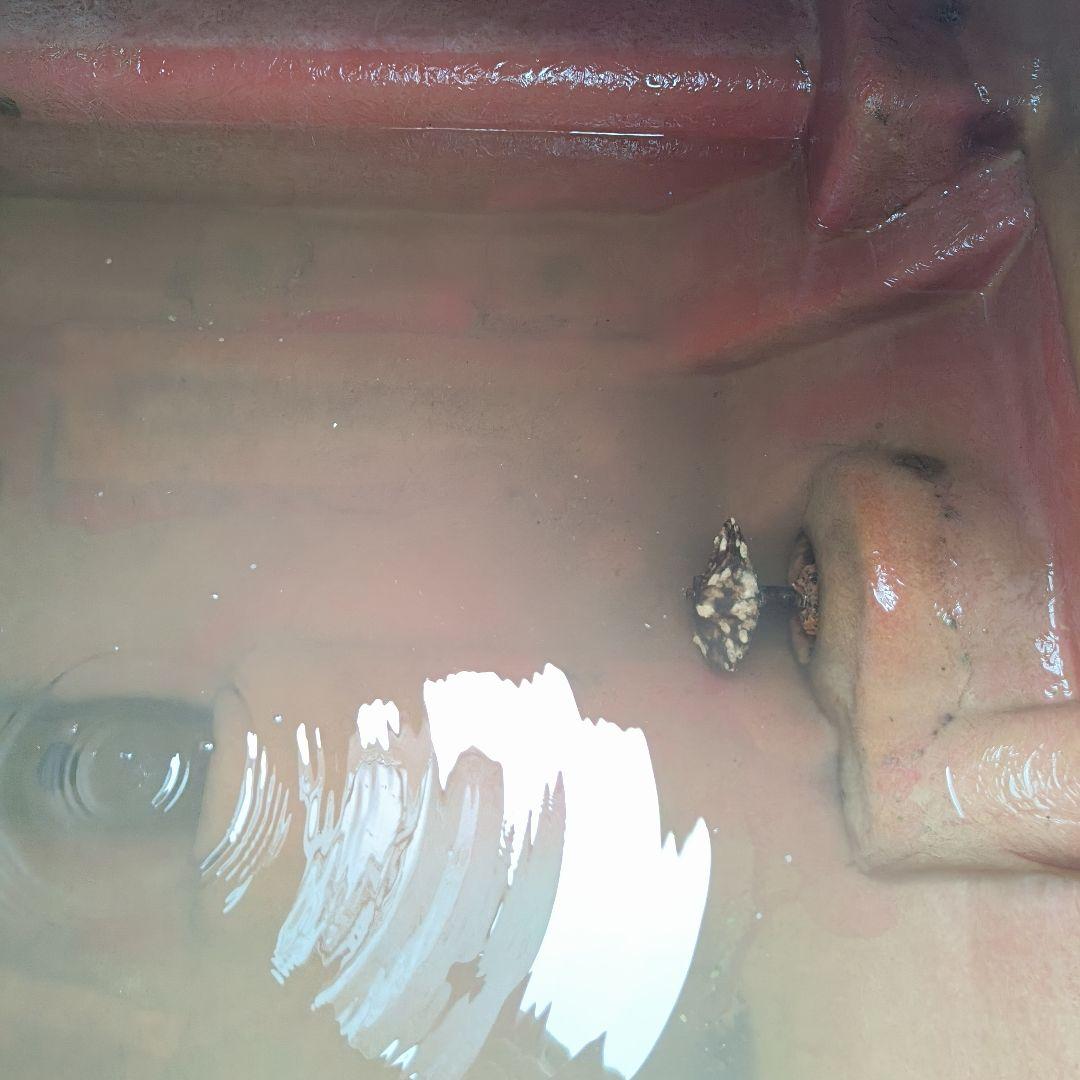 丸山 噴霧器 SSA-G540 農機 スピード スプレーヤ 散布 散布機 　消毒