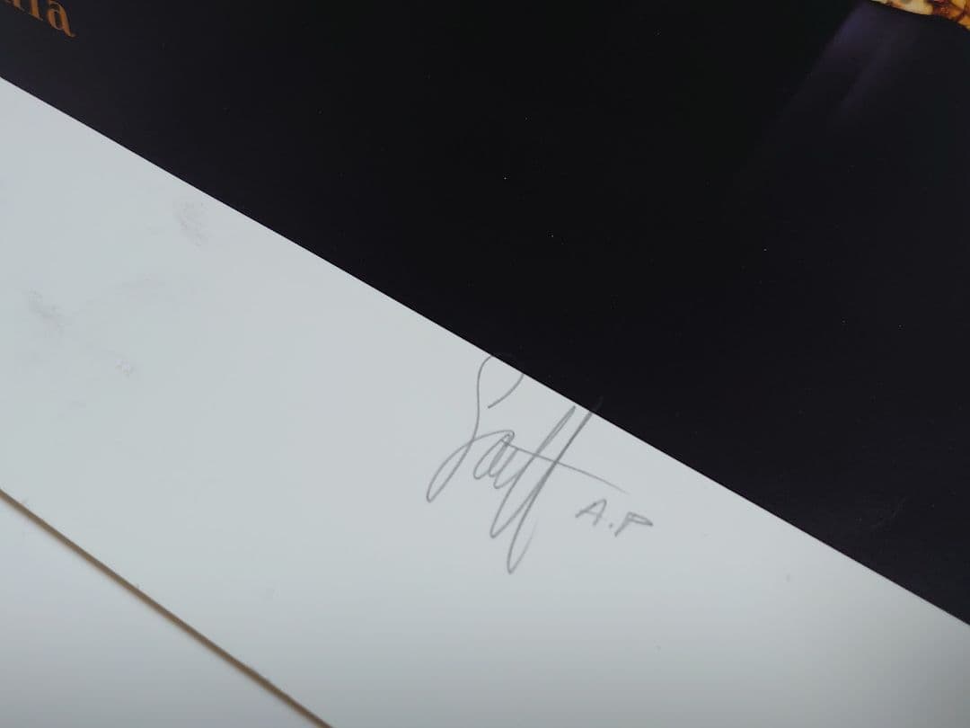 ディズニーワールド　直筆サイン　2000　限定　ポスター　リトグラフ　パレード