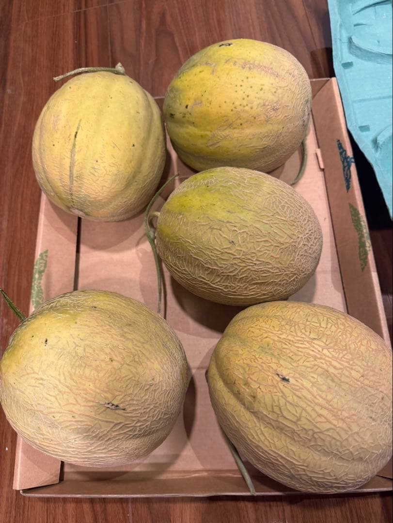 メロン ショップ確認用