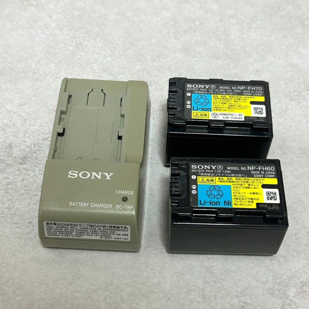 【美品】ソニー HDR-CX520V ビデオカメラ　ハンディカム