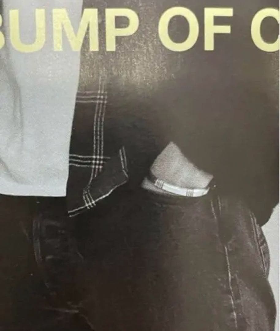 シルバーCippyCrazyHorseシッピークレイジーホースブレスレット貴重品