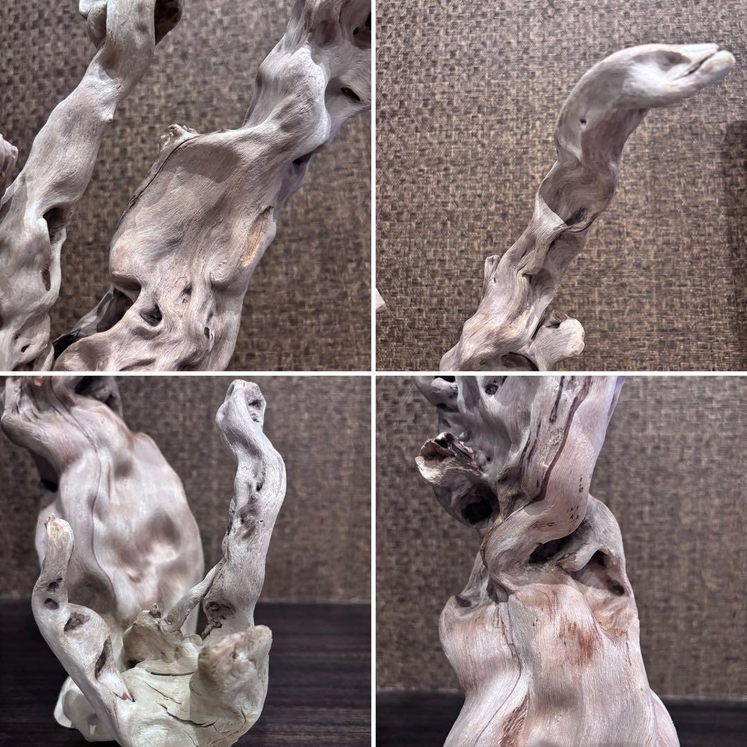 流木　うねうね大サイズ　インテリア用67.5cm自立可