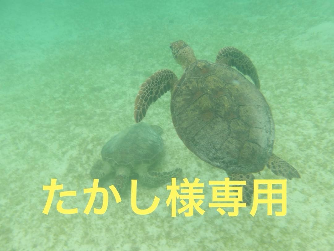 レジンアート海(たかし)