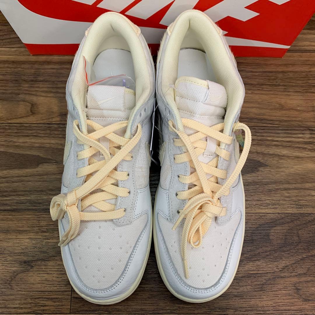 未使用 Nike Dunk Low Retro QS City Pack