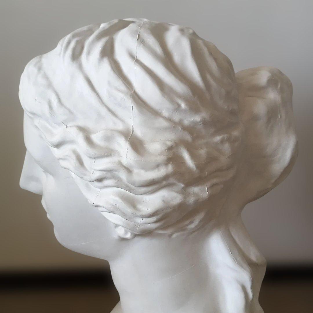 ミロのビーナス石膏像