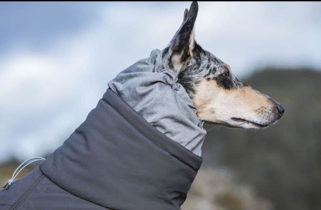 犬服　フルッタ　エクストリームオーバーオール