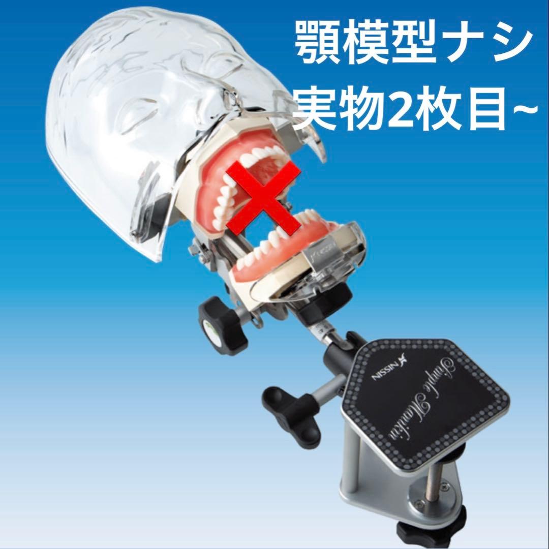 NISSIN 歯科 シンプルマネキン