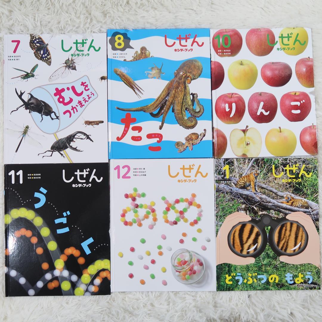 キンダーブック　しぜん 50冊セット　【24時間以内発送】