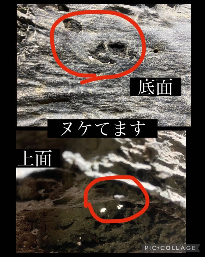 4222 佐治川石《希少》 水石 盆栽 盆石 置物 鑑賞石