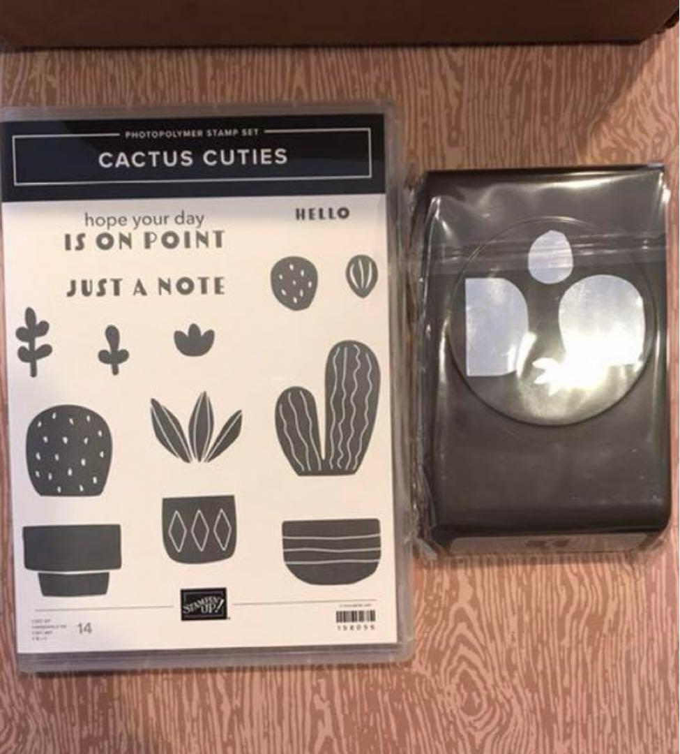 １点限り♡未使用　サボテンパンチ＆スタンプ　スタンピンアップ