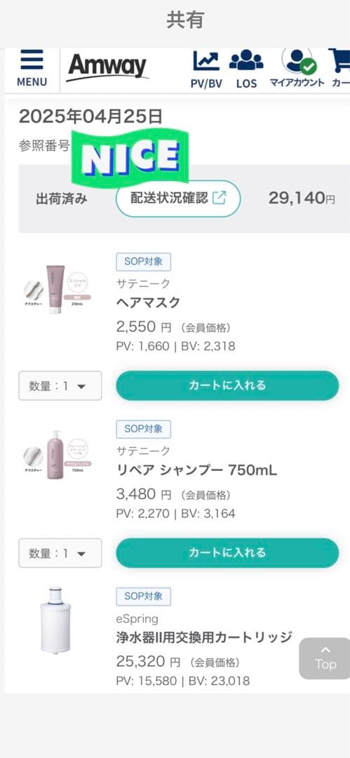 【新品】アムウェイ　eSpring浄水器Ⅱ eSpring 交換用カートリッジ