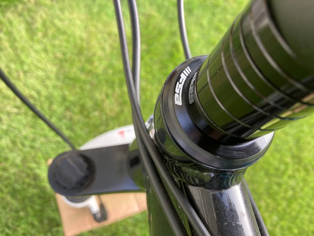 ルイガノ　確認用