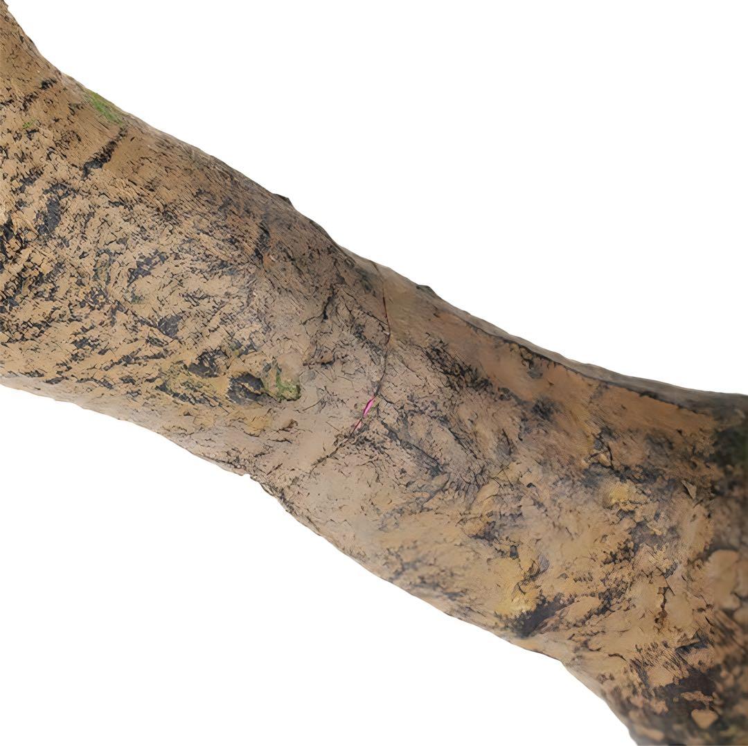 光触媒　人工観葉植物　フェイクグリーン　ベンジャミナスターライトコアッド