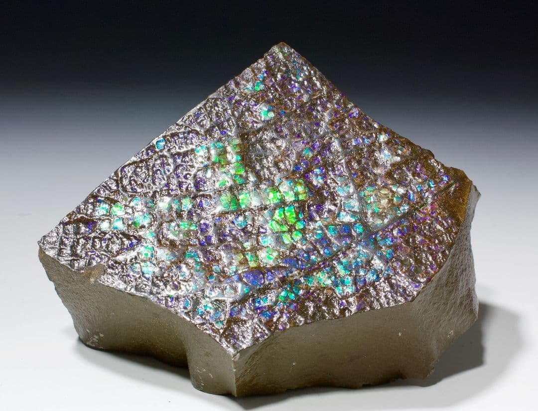 カナダ アンモライト 宝石標本