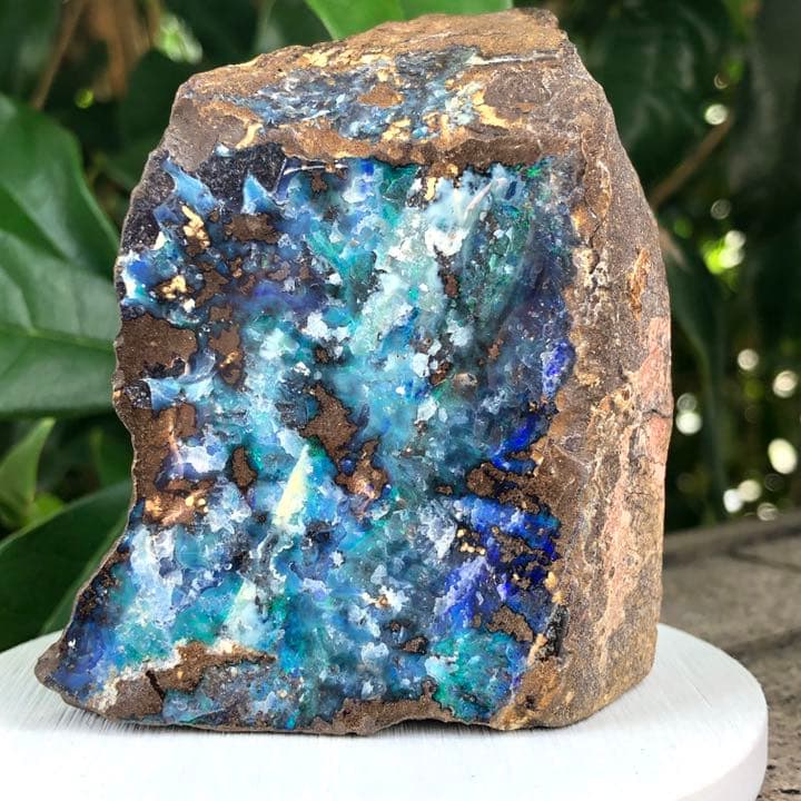 ビッグサイズ！ボルダーオパール原石オーストラリア産Y259