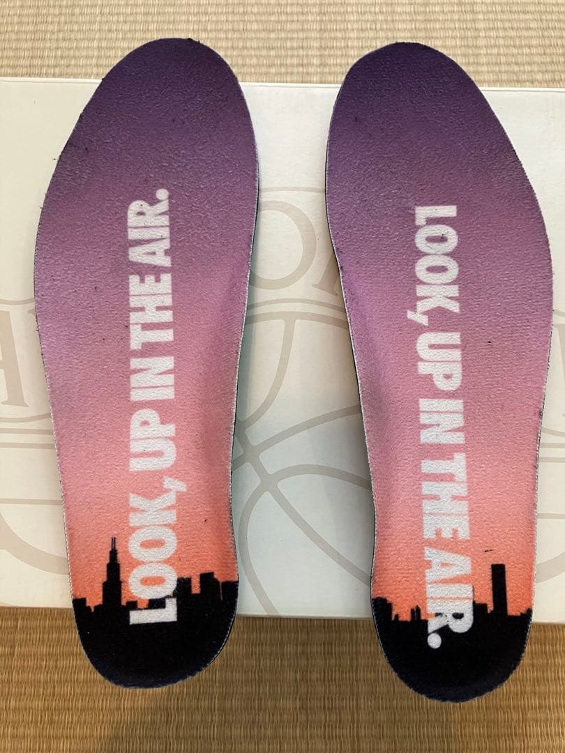 WMNS AIR JORDAN 2 RETRO LOW 27.5cm 箱付