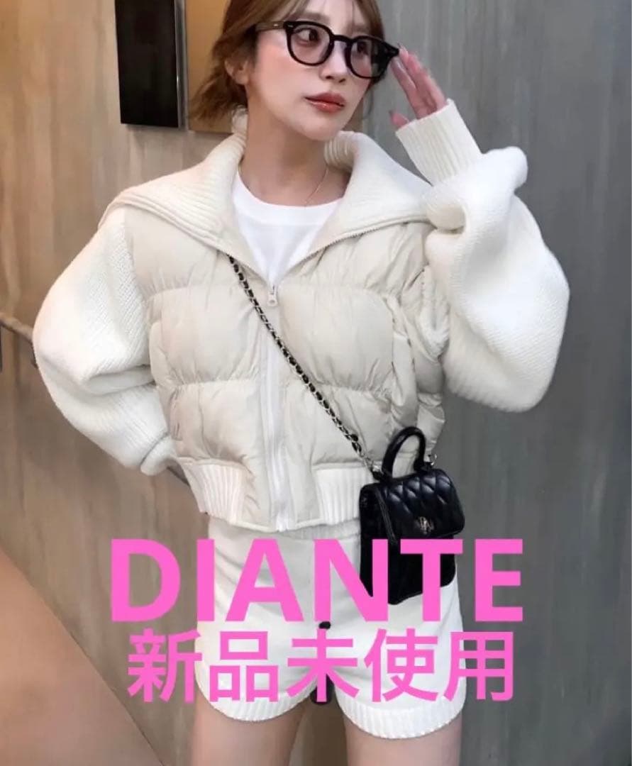 dianteブルゾン　新品未使用　早い者勝ち❗️24時間以内発送も可能❗️
