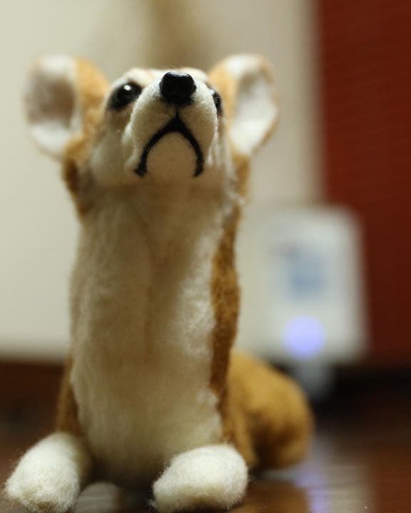 羊毛フェルト　ウェルシュコーギー