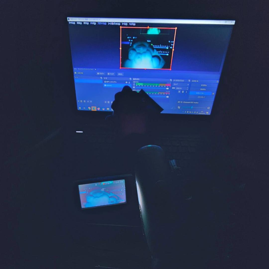 【動作確認済】SONY MiniDV 高画質 ビデオカメラ ナイトショット 対応