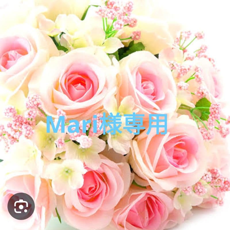 コスメデコルテ　AQ アブソリュート バームクリーム エラスティック 20包