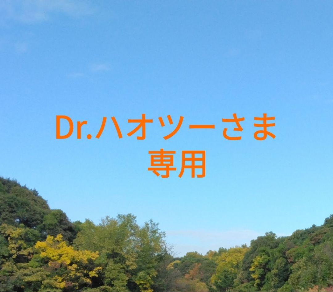 オーダー専用出品