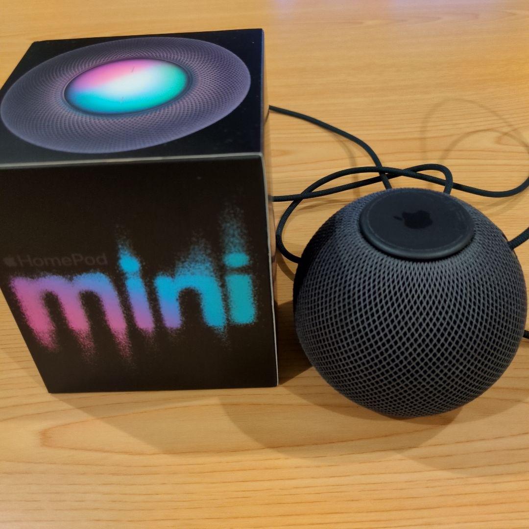 Pod mini MY5G2J/A [スペースグレイ]