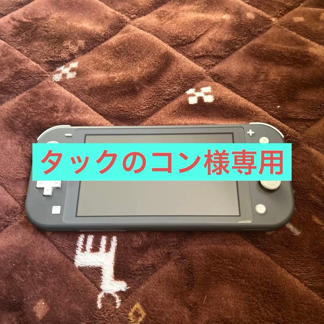 NINTENDO Switch Lite グレー本体　美品