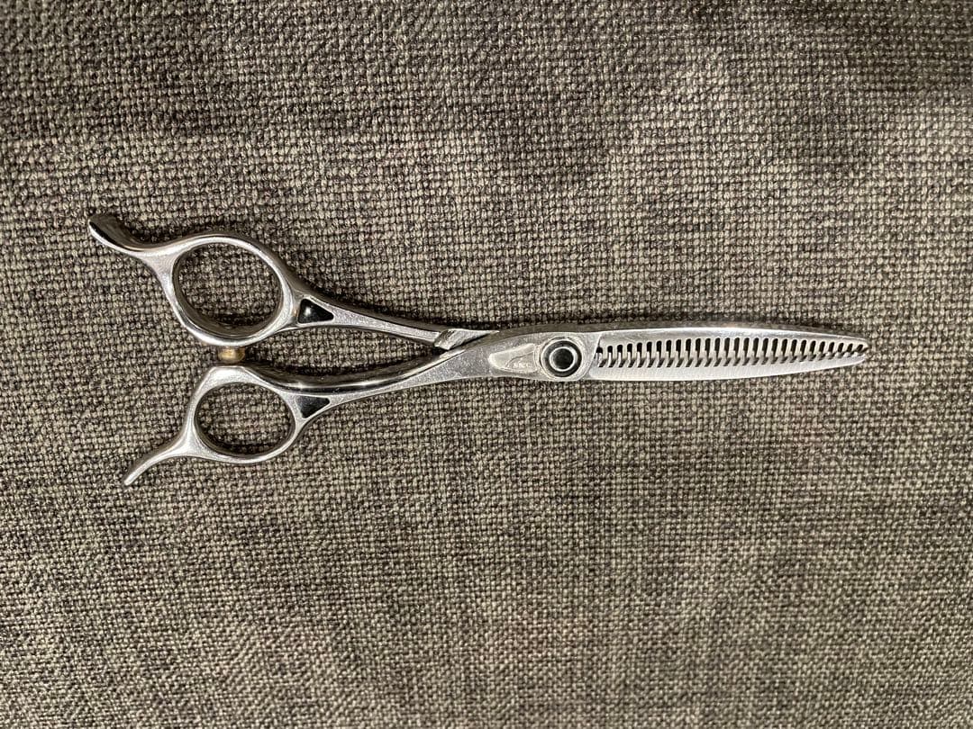 トギノン　サクセススター